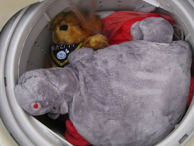 In the washing machine.