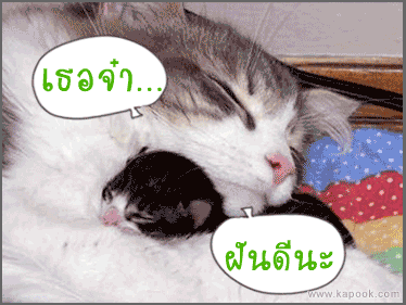คลิกๆๆ รูปสวยๆน่ารักๆไว้ส่งต่อเพียบ...