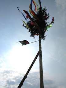 IMG_5632.jpg
