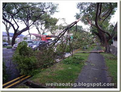 Fallen branches make lanes and sidewalks unpassable