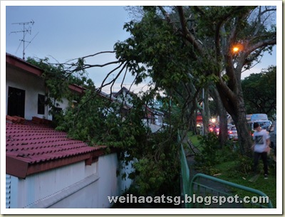 Branches fall onto a house