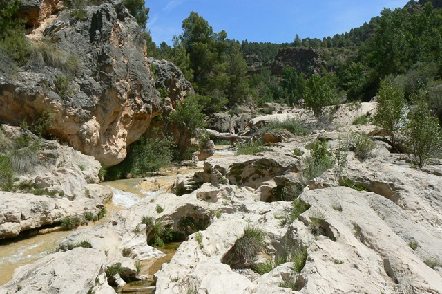 [P12007543.jpg]