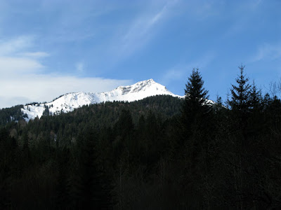 Scheinbergspitze