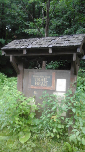 Tibbits State Forest Trail Head