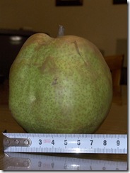 R0011455