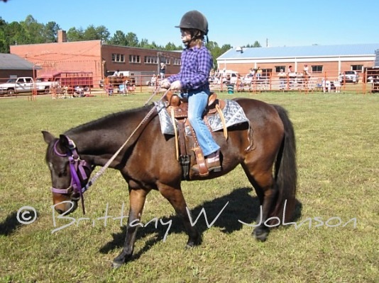 [Horse Show Allie 2[7].jpg]