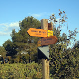 Sierra de la Argueña - Castalla (23-Mayo-2010)