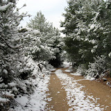 El recorrido de Castalla nevado (20-Diciembre-2009)
