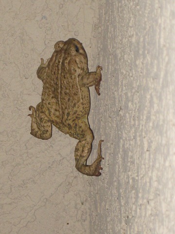 [IMG_16802.jpg]
