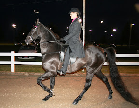 Missouri State Championship Racking Horse Show