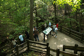 Rock%20Bridge%20Memorial%20State%20Park