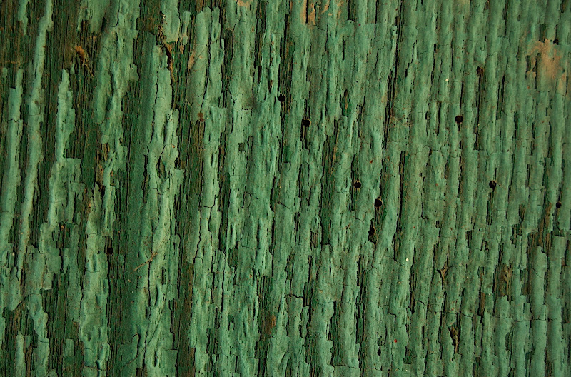 Old Fence #4