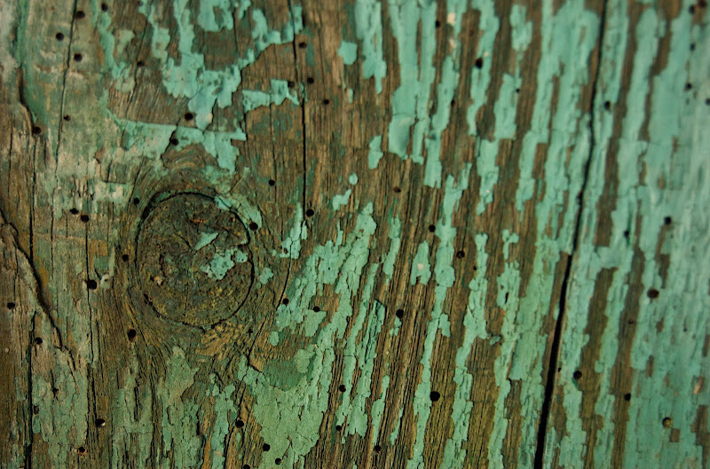 Old Fence #6