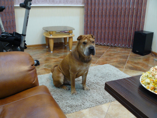 P1020046.JPG