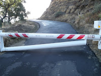 PA190677.JPG Photo