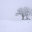 IMG_7562.jpg