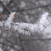 IMG_7589.jpg