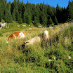DSCN3440.JPG