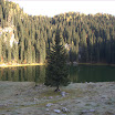 DSCF2964.jpg