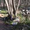 DSCF4361.JPG