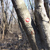 DSCF4364.JPG