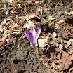 DSCF4405.JPG