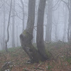 DSCF4779.JPG