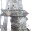 DSCF4778.JPG