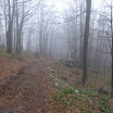 DSCF4786.JPG