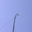IMG_3671.jpg
