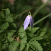 IMG_3636.jpg