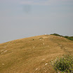 DSCN4197.JPG