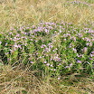 DSCN4191.JPG