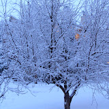 PC280075.JPG