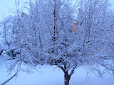 PC280075.JPG