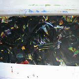 DSC00073.JPG