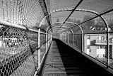 IMG_0623b.jpg