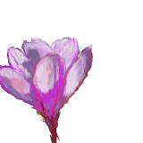 5 minutes with photoshop utilizing my new Wacom Tablet!