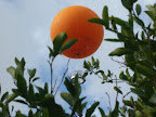P1090110
