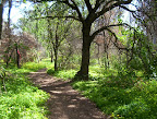 CA Open Spaces