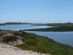Bolsa Chica Wetlands