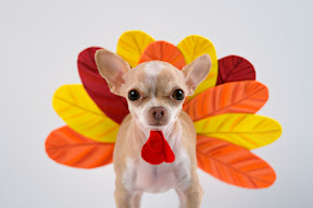 Thanksgiving Play