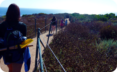 Summer Walk Challenge