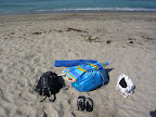 Beach Trips