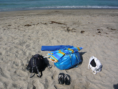 Beach Trips