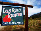 Thumbnail image for Riley’s at Los Rios Rancho Apple Farm Trip: Celebrating Fall with Family