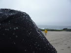 Orange County Tidepooling