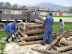 P1010159.JPG
