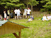 dsc03279.jpg