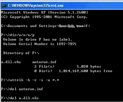 Remove Virus From Command Prompt Remove Virus From Command Prompt